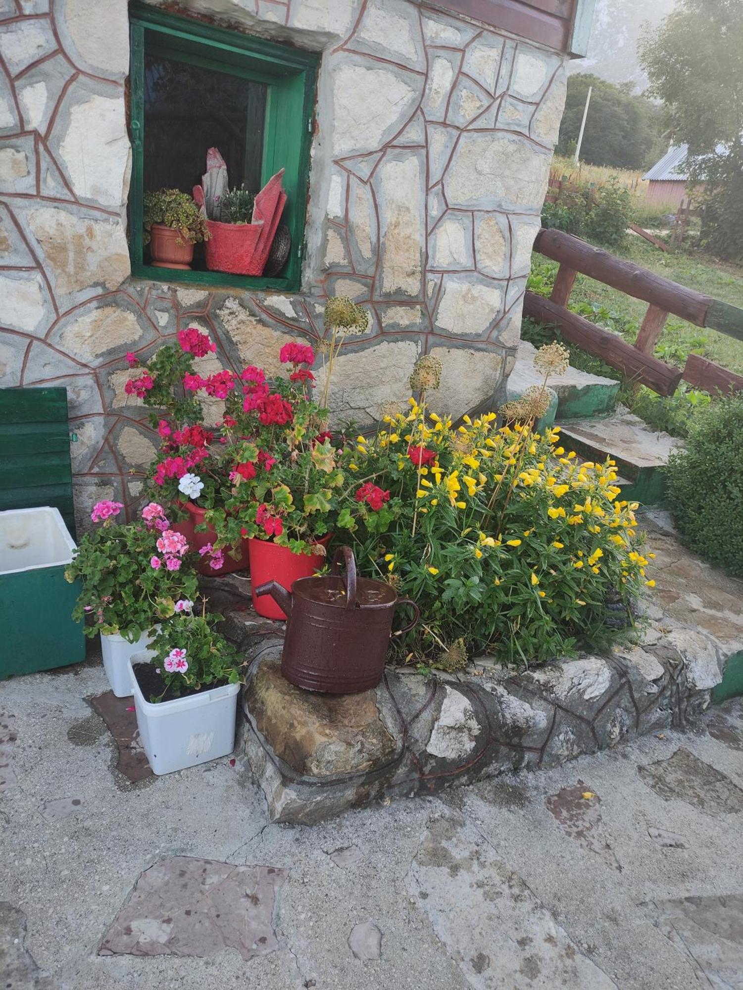 Durmitorska Koliba Sa Kupatilom Žabljak Quarto foto