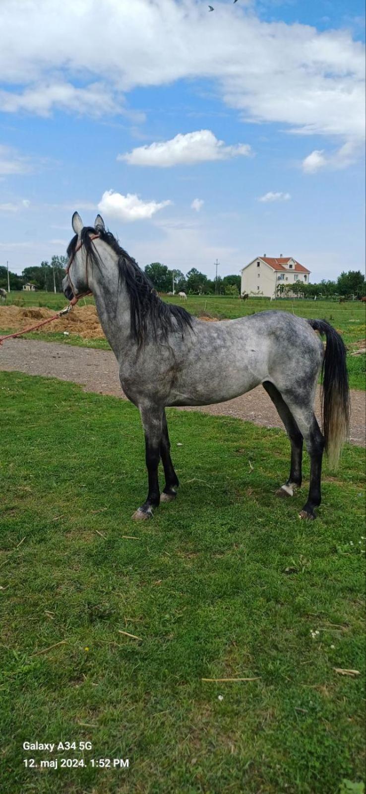 Durmitorska Koliba Sa Kupatilom Žabljak Exterior foto